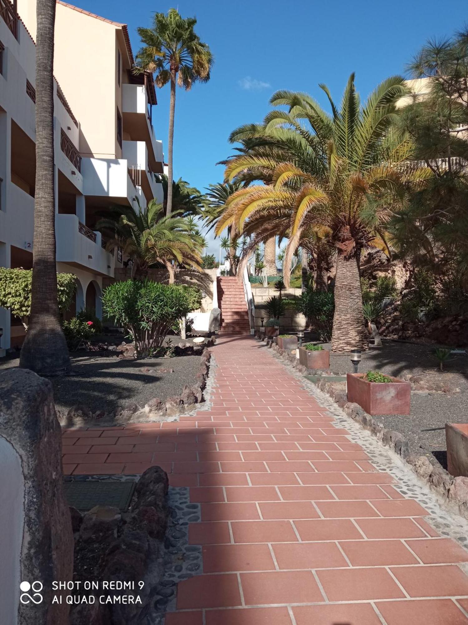 Las Meninas Tenerife San Miguel de Abona Quarto foto